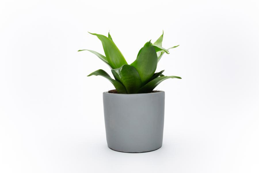 stillife-fotografia-commerciale