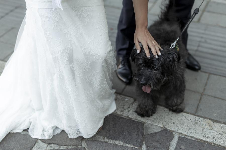 reportage di matrimonio